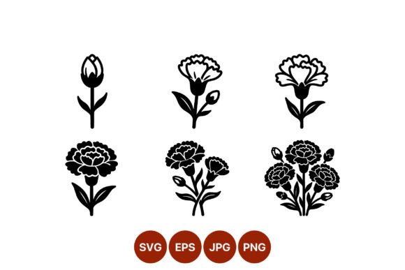Carnation Flower Growth Vector: Graphics & Illustrations