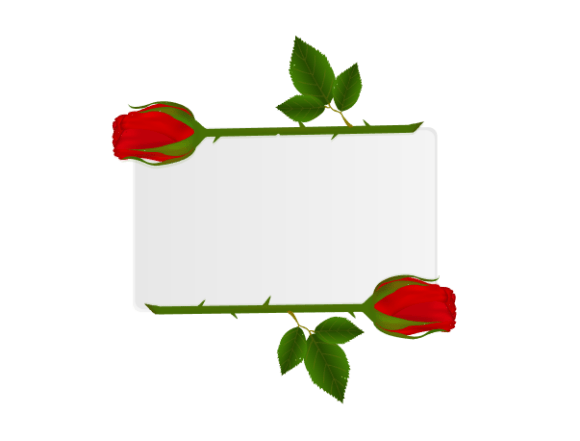Fresh Red Roses Greeting Card Design Review